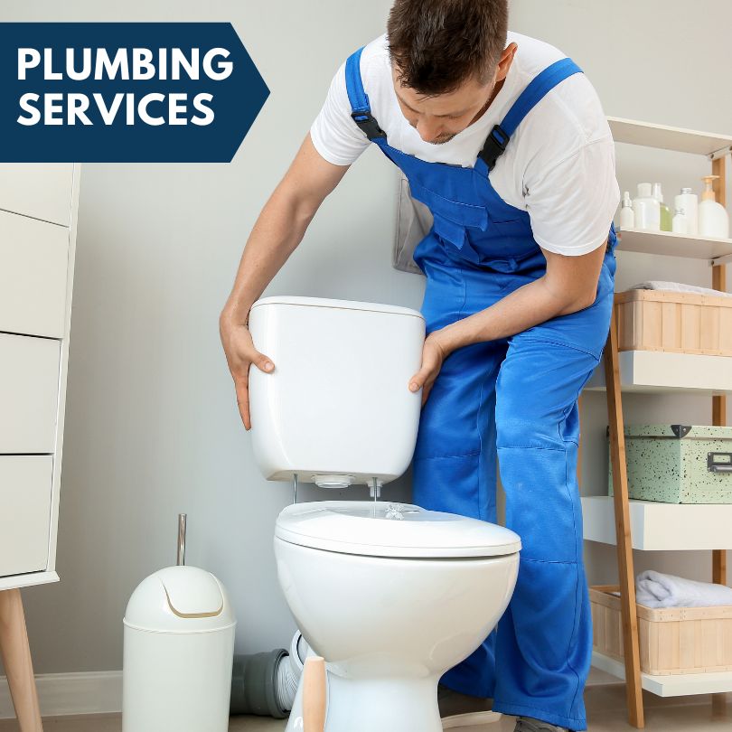 Plumbing Company in Levering, MI